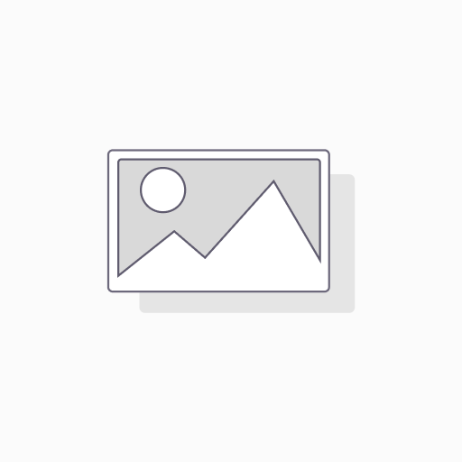 Bronze Hosting